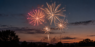 Fireworks in the night sky