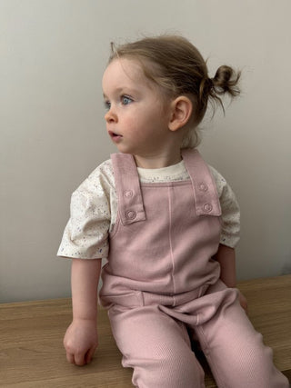 Baby Girl Dungarees